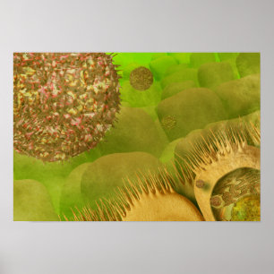 Noroviren im Magen-Darm-Trakt Poster