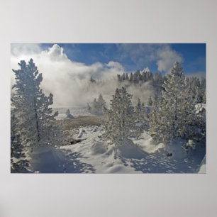 Norris Geysir-Becken-Yellowstone Nationalpark Poster