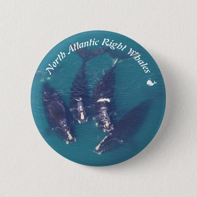 North Atlantic Right Whales von RoseWrites Button (Vorderseite)