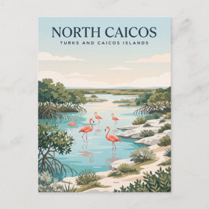 North Caicos Flamingo-See Postkarte
