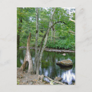 North Carolina Creek Postcard Postkarte