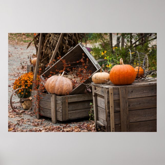 North Carolina, Linville, Herbstkürbis Poster (Vorne)