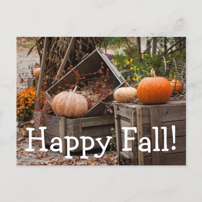 North Carolina, Linville, Herbstkürbis Postkarte (Vorderseite)