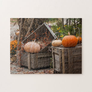 North Carolina, Linville, Herbstkürbise Puzzle