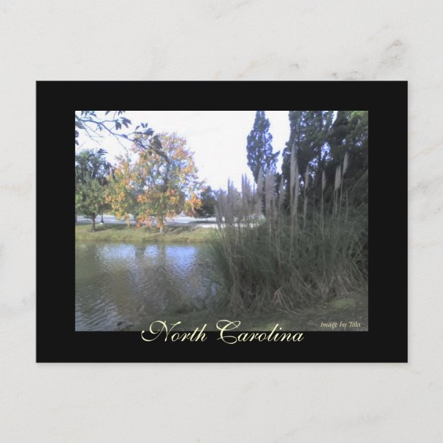 North Carolina Postcard Postkarte (Vorderseite)