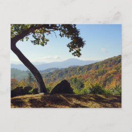 North Carolina Postkarte