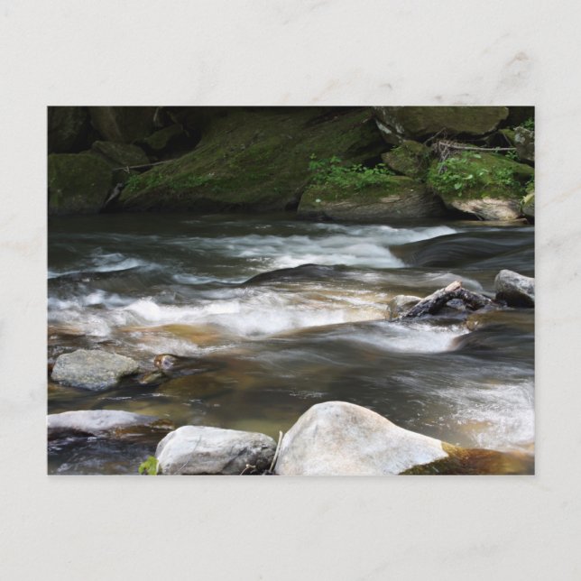 North Carolina Postkarte (Vorderseite)