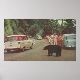 North Carolina Smoky Mountains Poster