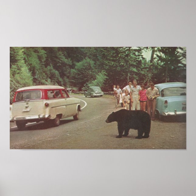 North Carolina Smoky Mountains Poster (Vorne)