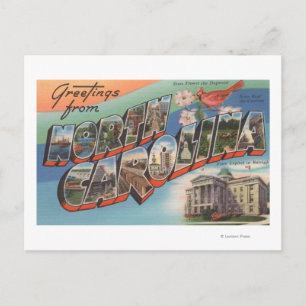 North Carolina (Staat Blume/Vogelart) Postkarte