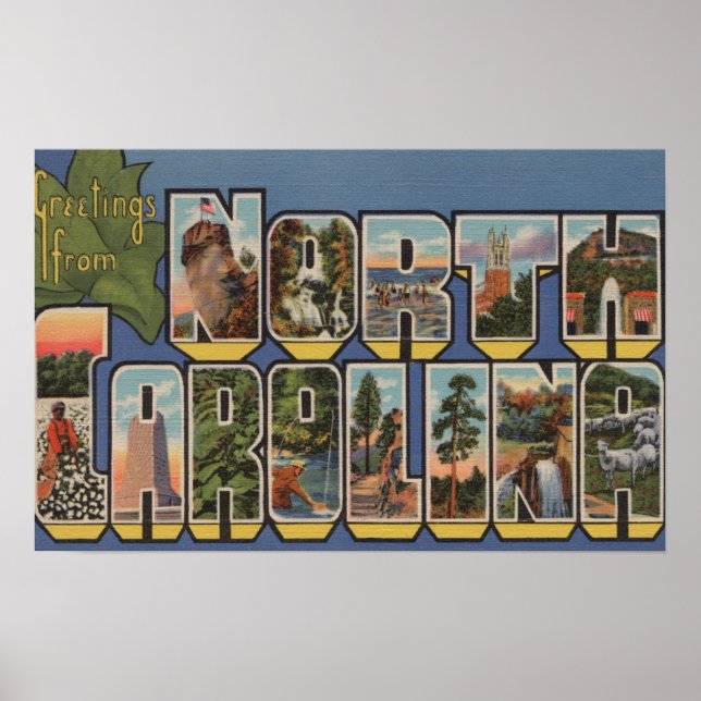 North Carolina (Staat Hauptstadt/Blume) Poster (Vorne)