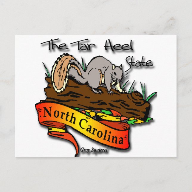North Carolina Tar Heel Staat Grau Eichhörnchen Postkarte (Vorderseite)