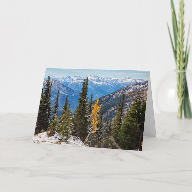 North Cascade Mountains Wenatchee National Forest Karte (Vorderseite)