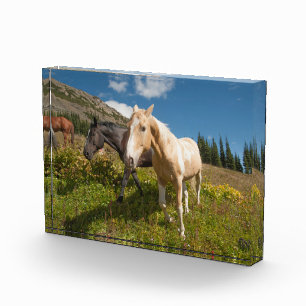 North Cascades National Park Fotoblock