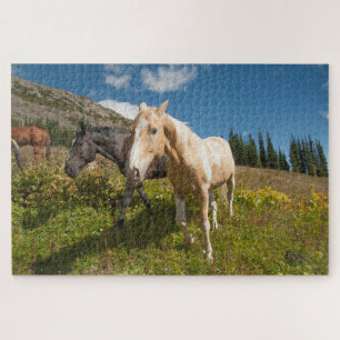 North Cascades National Park Puzzle