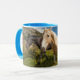 North Cascades National Park Tasse