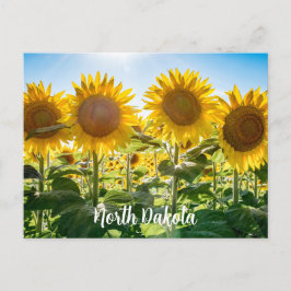 North Dakota Postcard Postkarte