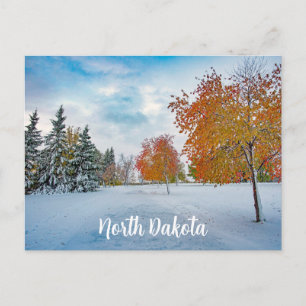 North Dakota Postcard Postkarte