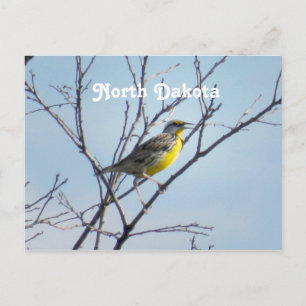 North Dakota Postkarte