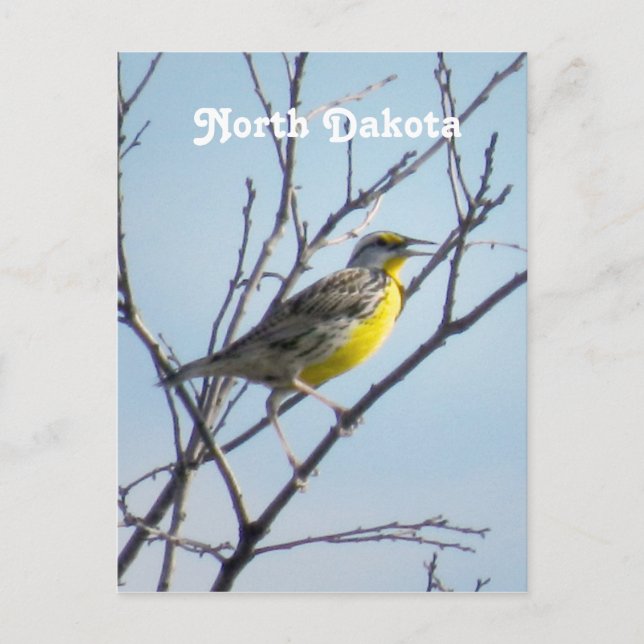 North Dakota Postkarte (Vorderseite)