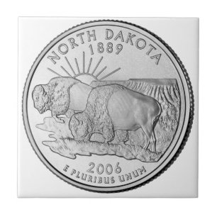 North Dakota Staat Quarter Fliese