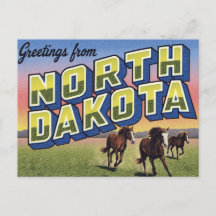 North Dakota Wildpferde-Prärie