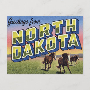 North Dakota Wildpferde-Prärie Postkarte
