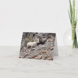 North Fork Ram - 4" x 5.6" Notecard Feiertagskarte