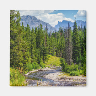 North Fork Shoshone River Magnet