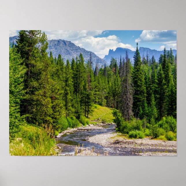 North Fork Shoshone River Poster (Vorne)