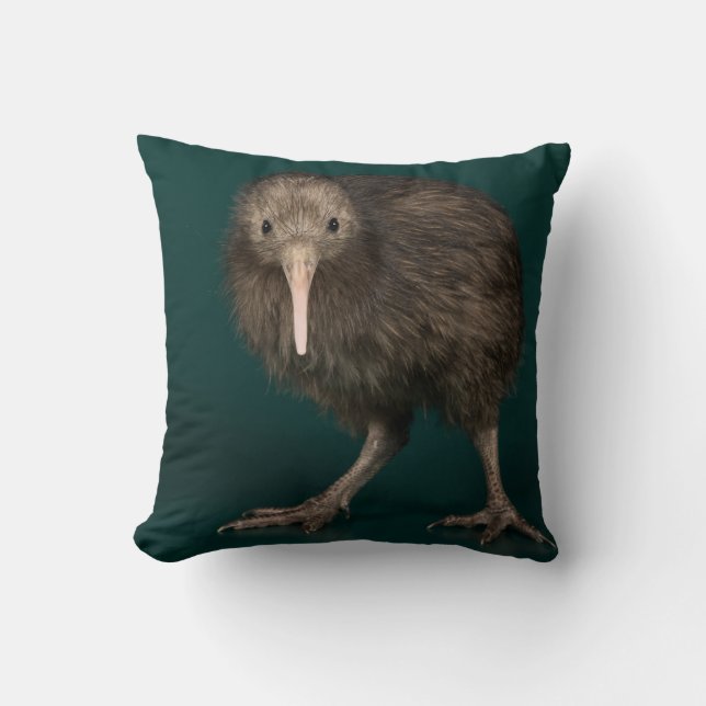 North Island Brown Kiwi Kissen (Vorderseite)