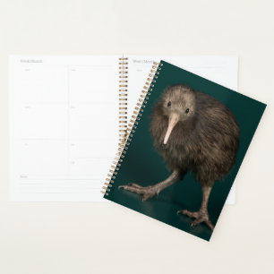 North Island Brown Kiwi Planer