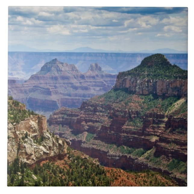 North Rim Gran Canyon - Grand Canyon National Fliese (Vorderseite)