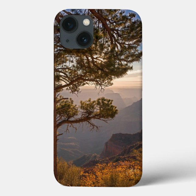 North Rim Sunrise Case-Mate iPhone Hülle (Rückseite)
