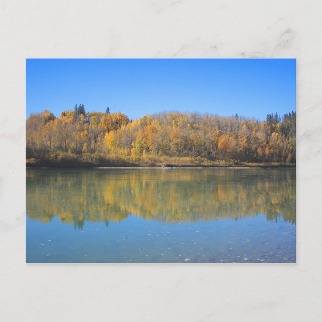North Saskatchewan River - Herbst Postkarte (Vorderseite)