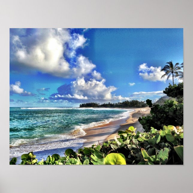 North Shore Poster (Vorne)