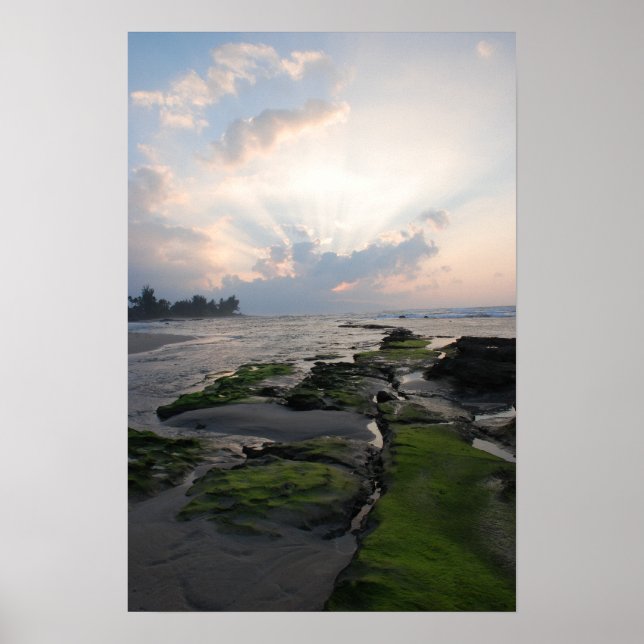 North Shore Sunset Poster (Vorne)