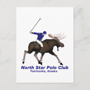 North Star Polo Club Postkarte