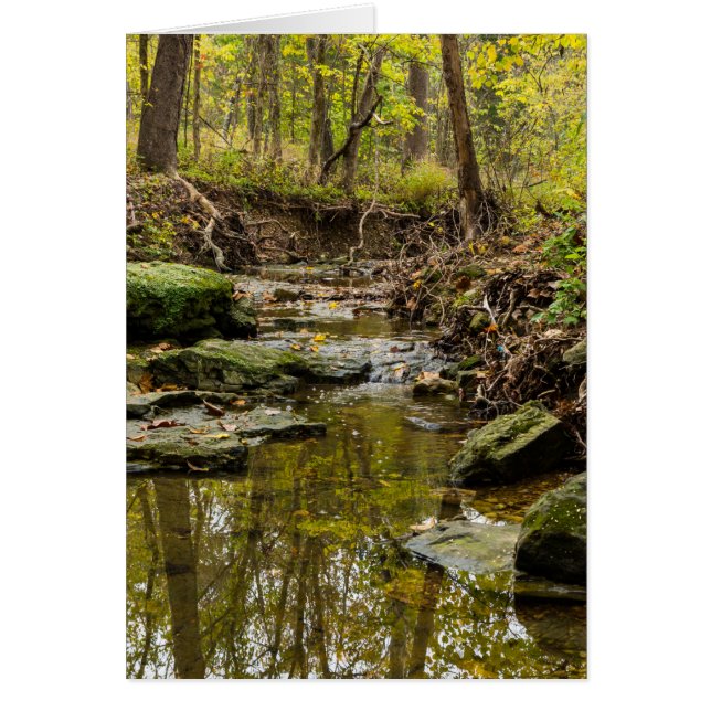 North Wears Creek (Vorne)