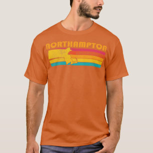 Northampton Massachusetts Vintag Distressed Souve T-Shirt