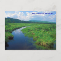 Northeast Vermont Victory Bog