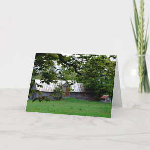 "Northern Barn" ist ein altes, überwuchertes Bauer Karte