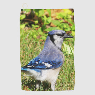 Northern Blue Jay Golfhandtuch