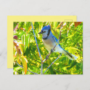 Northern Blue Jay in Tree Nature Custom Postkarte