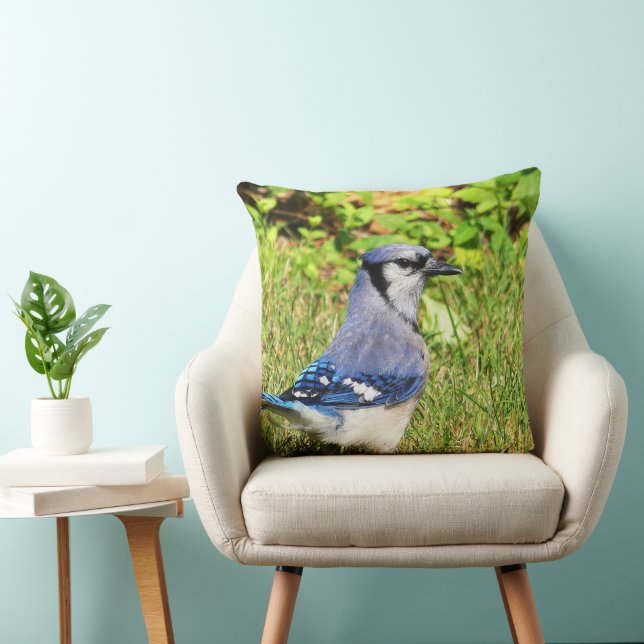 Northern Blue Jay Kissen (Stuhl )