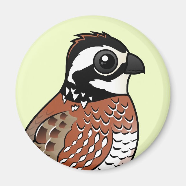 Northern Bobwhite Magnet (Vorne)