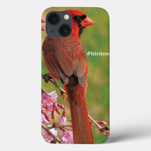 Northern Cardinal Case-Mate iPhone Hülle