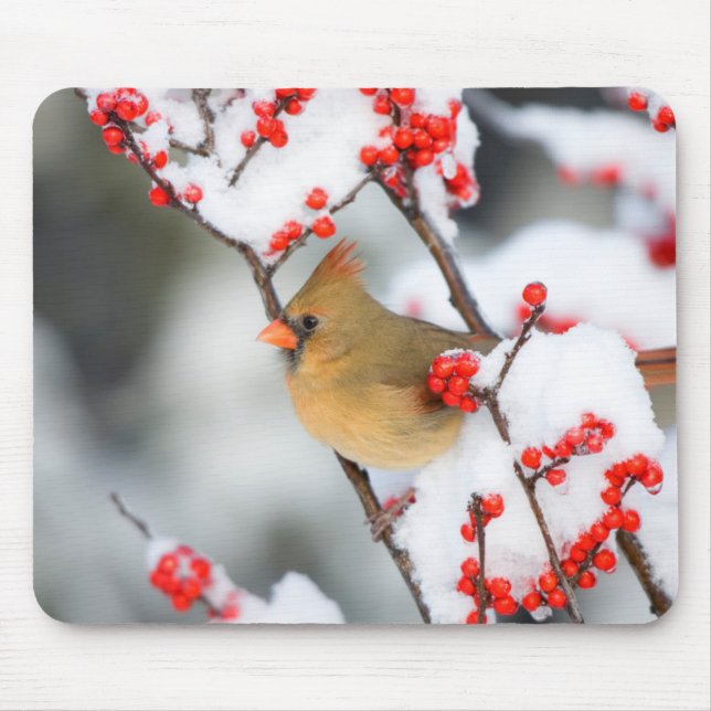 Northern Cardinal female on Common Winterberry Mousepad (Vorne)