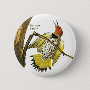 Northern Flicker, Audubon, Birdwatcher Accessory, Button