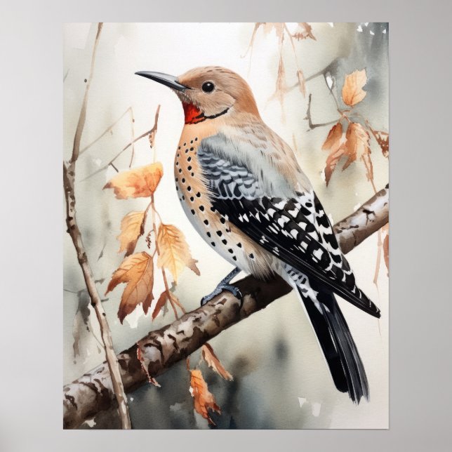 Northern Flicker Bird Art Print Poster (Vorne)